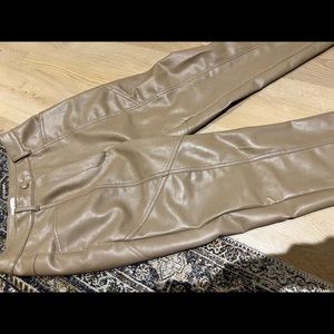 Aritzia Rebel leather pants